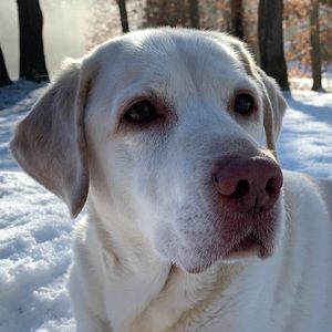 Meet your Posher, Keegan